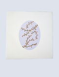 Spring Blossoms