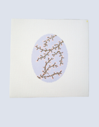 Spring Blossoms