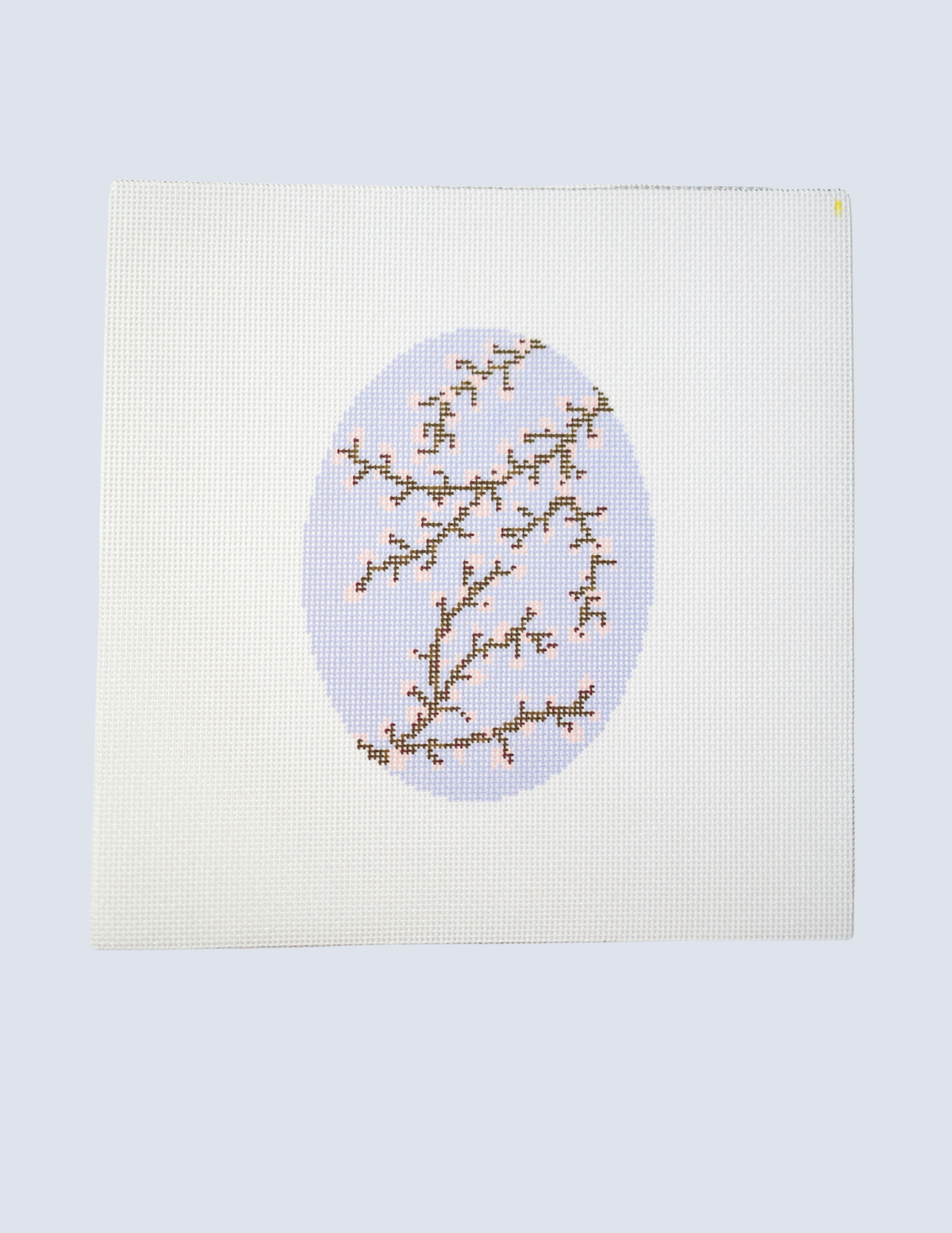Spring Blossoms