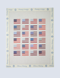 Imperfect Flag Quilt - 18 mesh