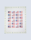 Flag Quilt - 13 Mesh