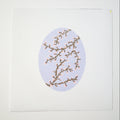 Spring Blossoms