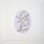 Spring Blossoms